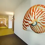 Excelsior 4* Złote Piaski