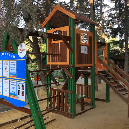 Excelsior Золотые Пески