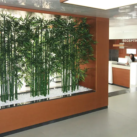 Excelsior 4* Золотые Пески